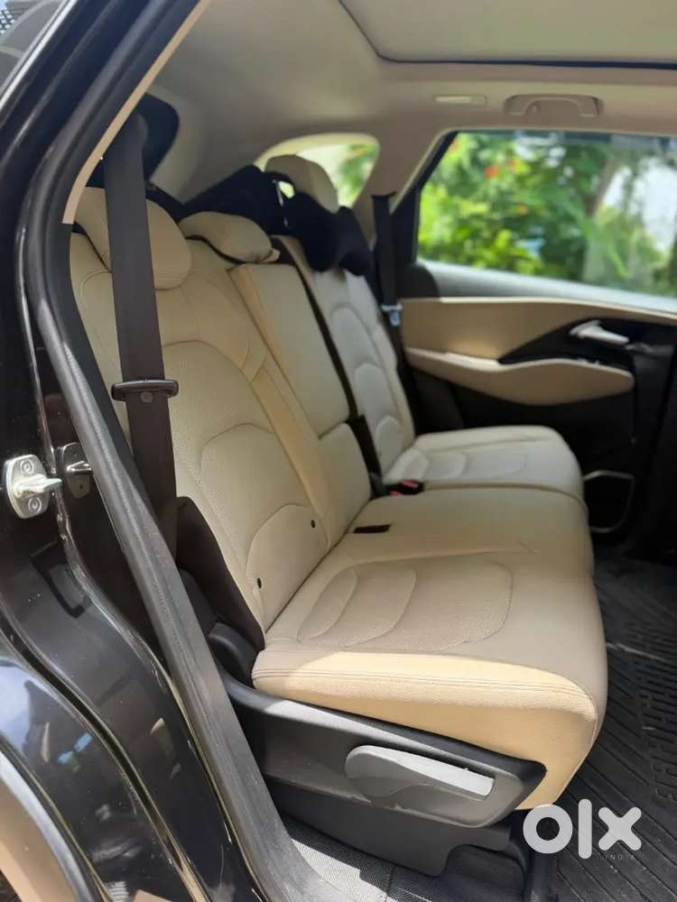 Bay New Car