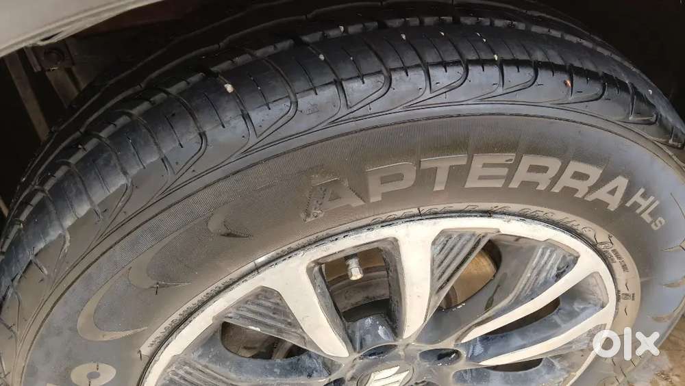 Well Mentioned New Brand Condition