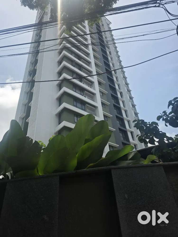 New Furnished 2  bhk flat near thondayad