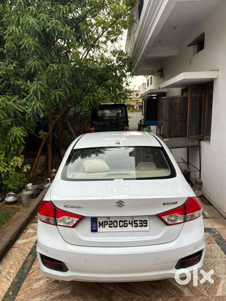 Maruti Suzuki Ciaz 2017 Diesel In Good Condition