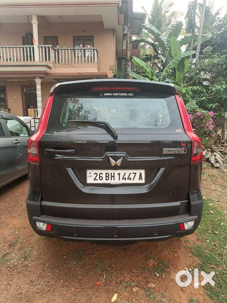 Napolean Black New Scorpio N