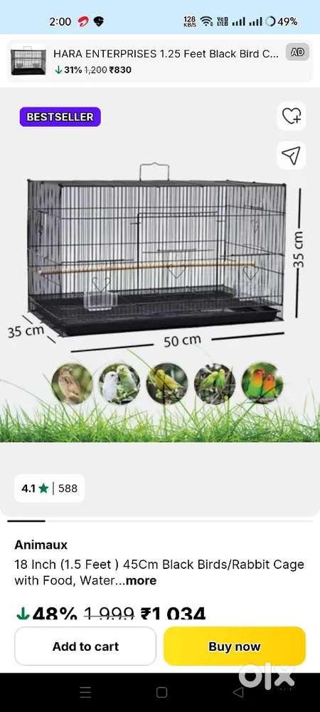 Birds cage
