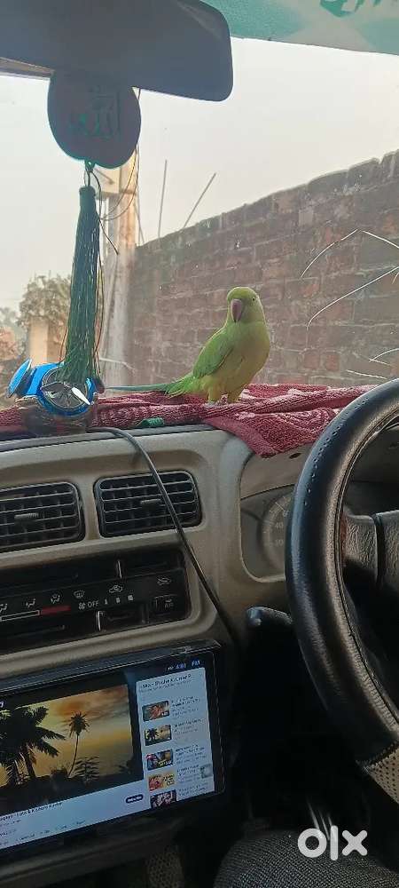 Maruti Suzuki Eeco 2017