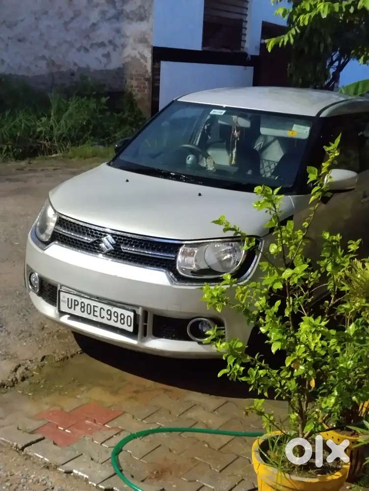 Maruti Suzuki Ignis Diesel Manual 2017