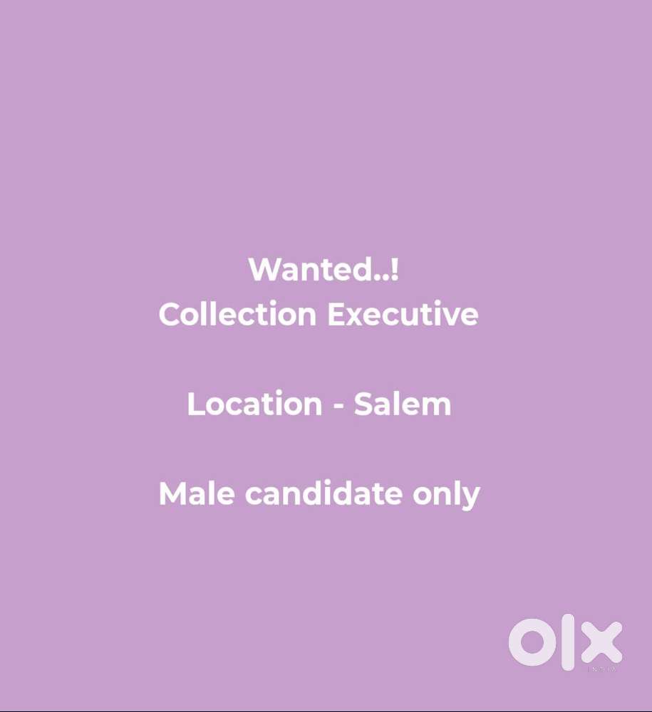 Collection Executive