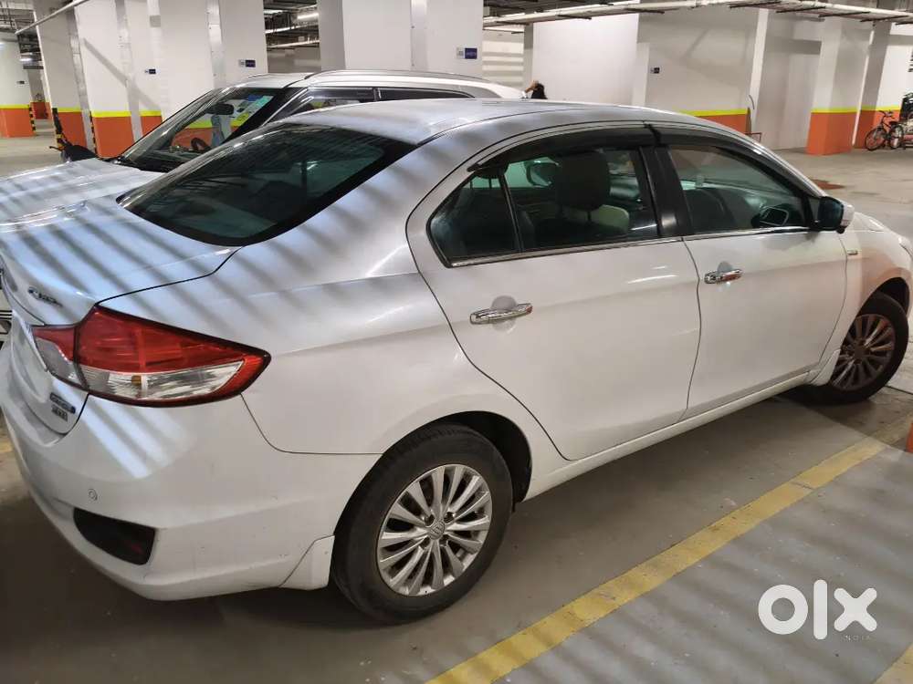 Maruti Suzuki Ciaz Zdi Shvs 2016