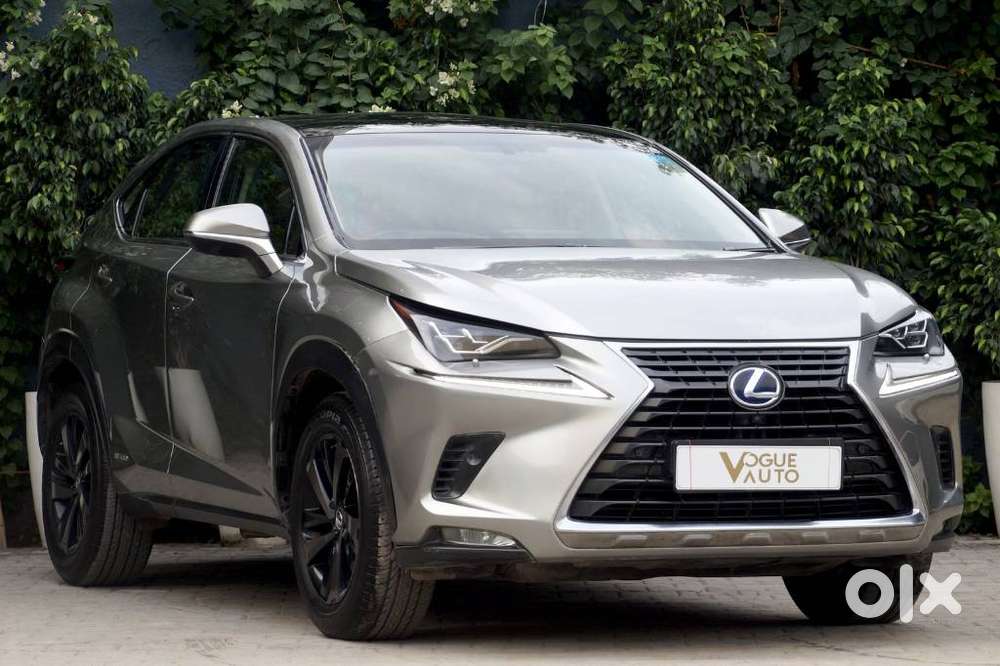 Lexus Nx Lexus-nx-300h-luxury, 2019, Petrol