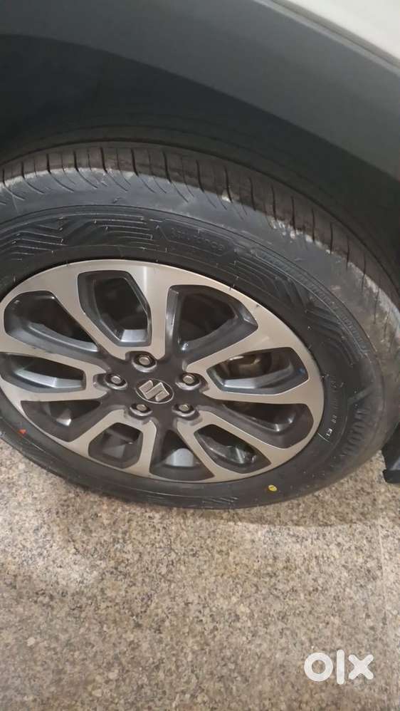 Maruti Suzuki Petrol Manual 2022
