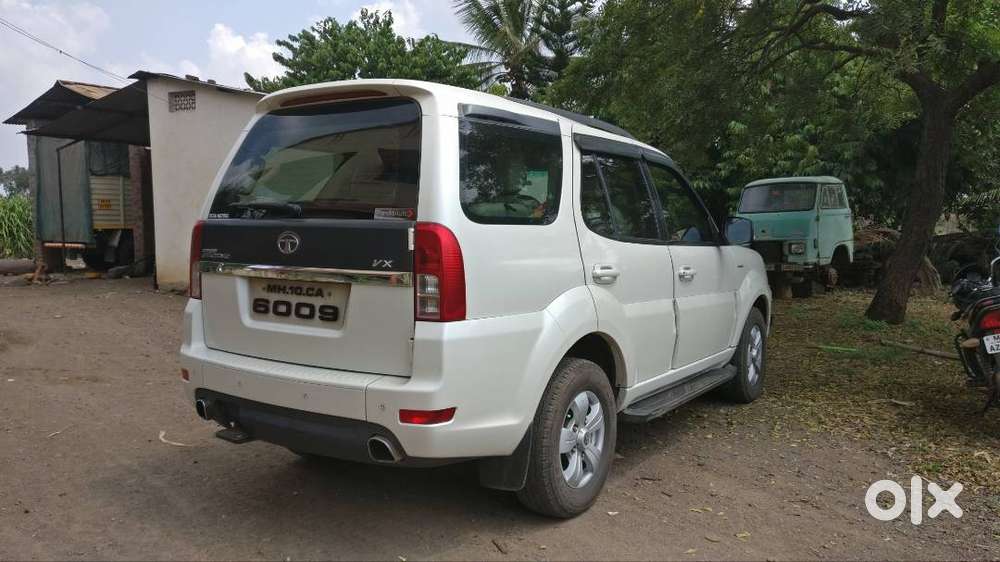 Safari Strome Vericor