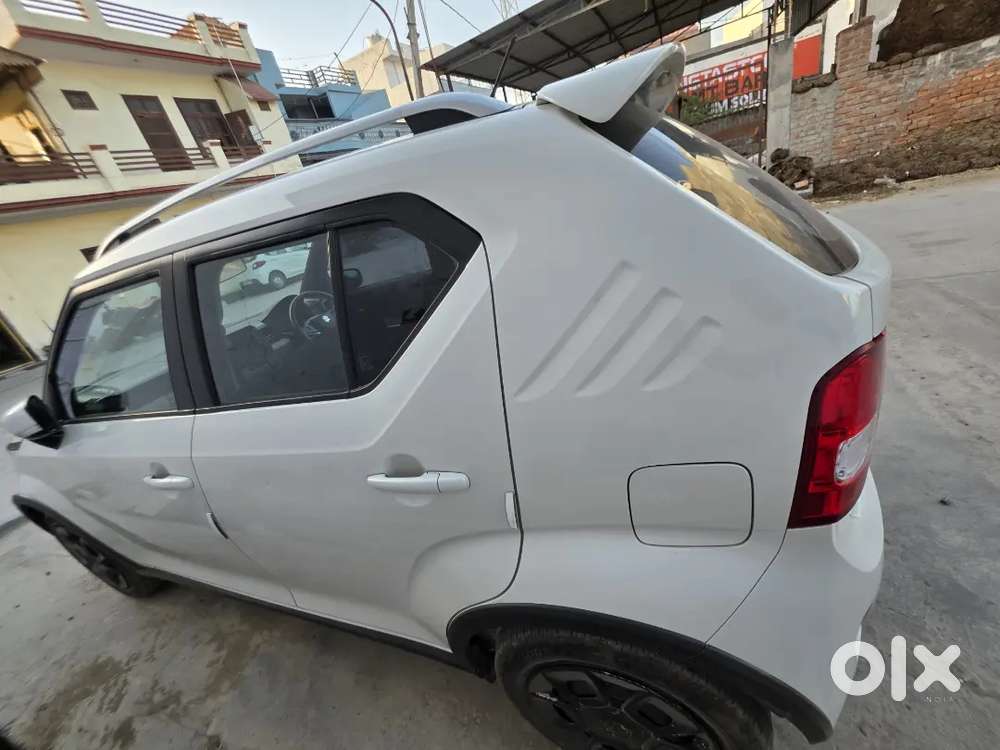 December 2024cng On Paper Delta Variant Convert To Alpha