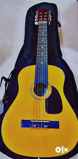 Guitar bag olx hotsell