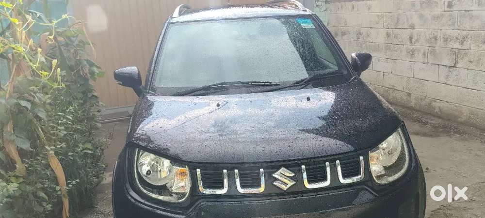 Maruti Suzuki Ignis 1.2 Delta Mt 2026