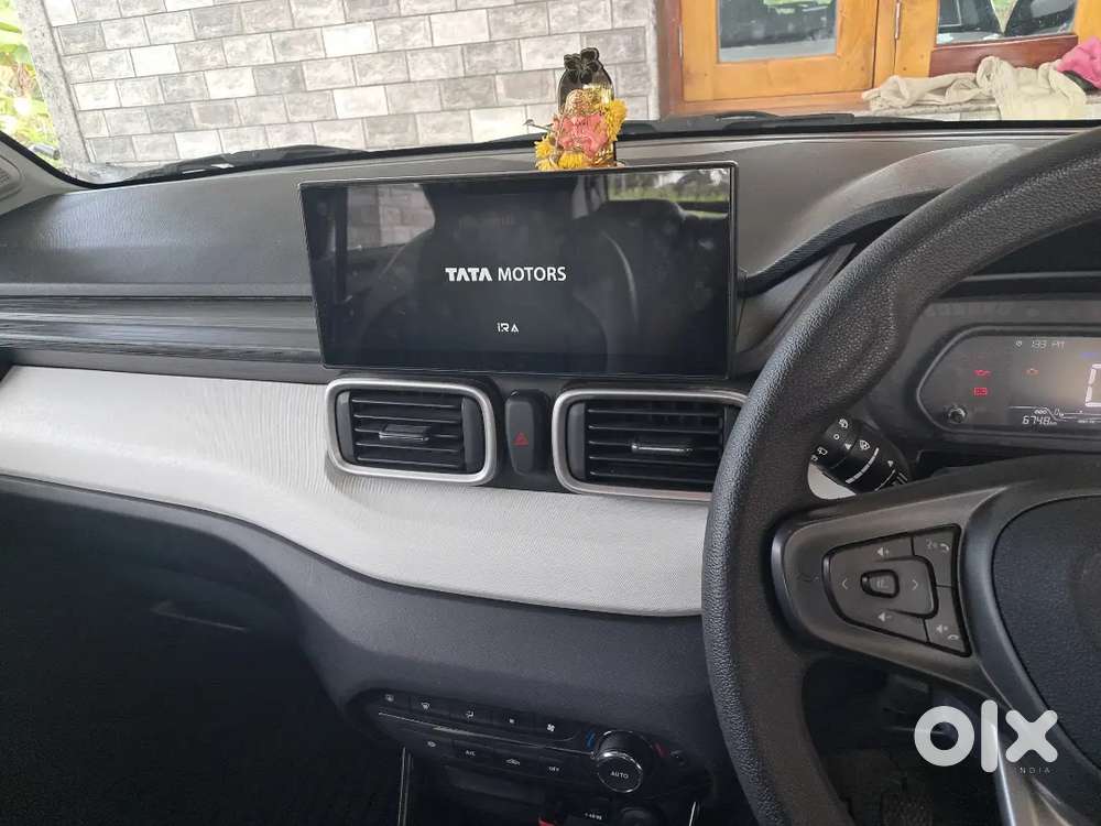 Accomplish Pluch Top 2 Very Ant Bat An Start