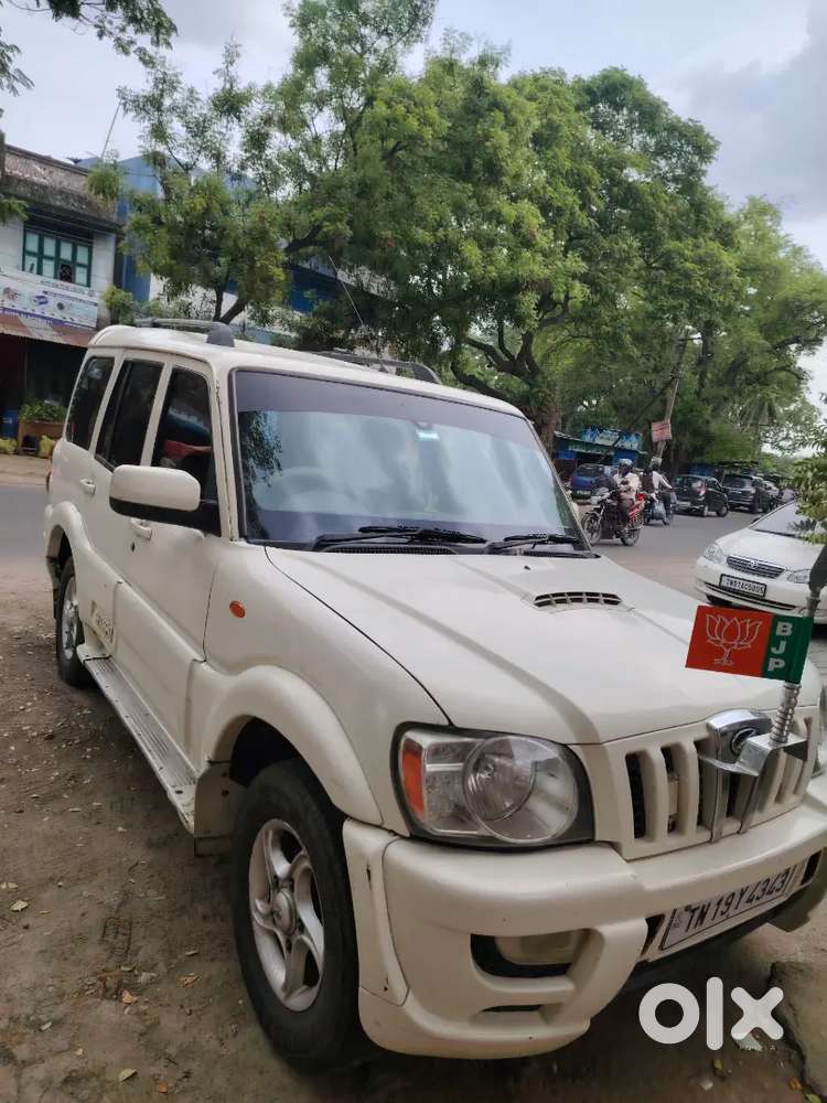 Low Price, 2031 Upto Fc Current Insurance 12/6/2027