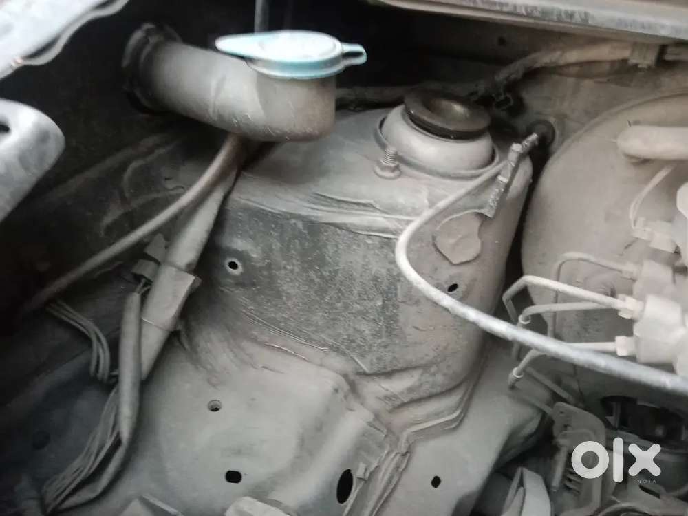 Maruti Suzuki Wagon R Flex Fuel 2014