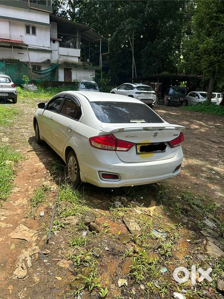 Maruti Suzuki Ciaz 2024 Petrol Well Maintained