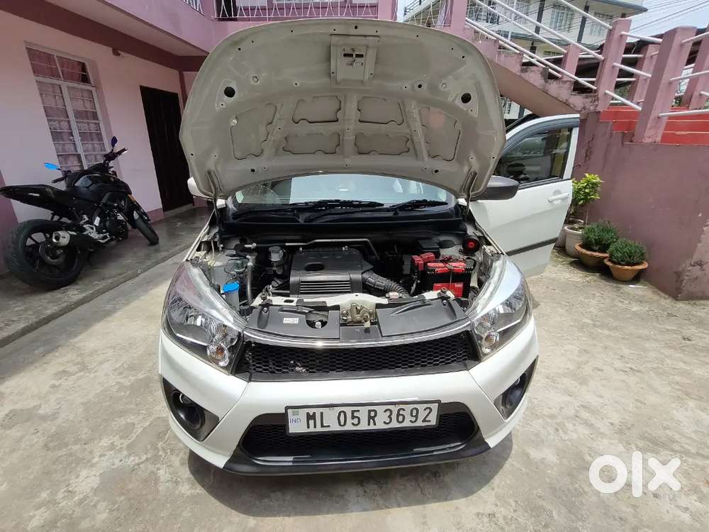 Maruti Suzuki Celerio 2026 Petrol Well Maintained