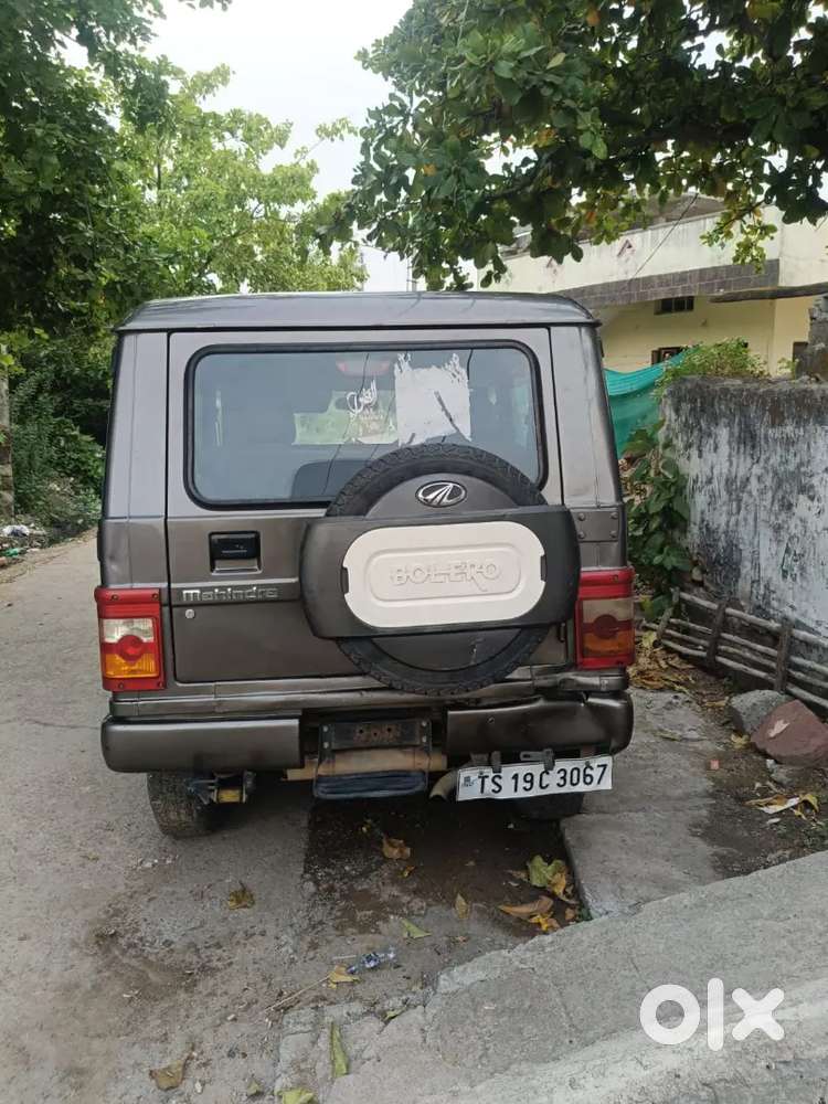 Bolero For Sale