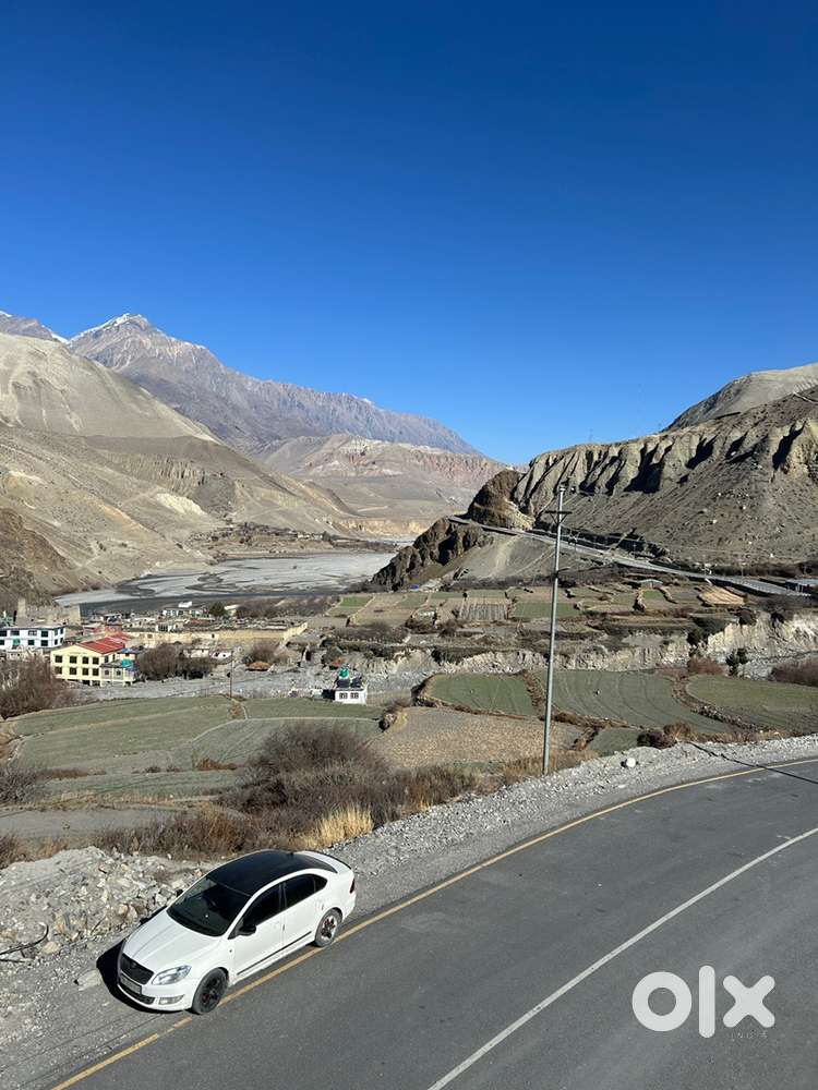 Skoda Rapid 2014 Diesel Well Maintained