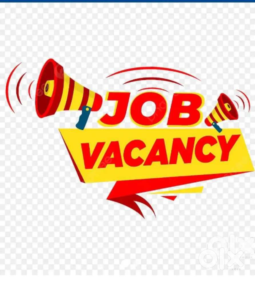 Office staff, Accountant