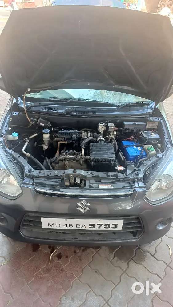 Fresh Condition Like New Alto 800