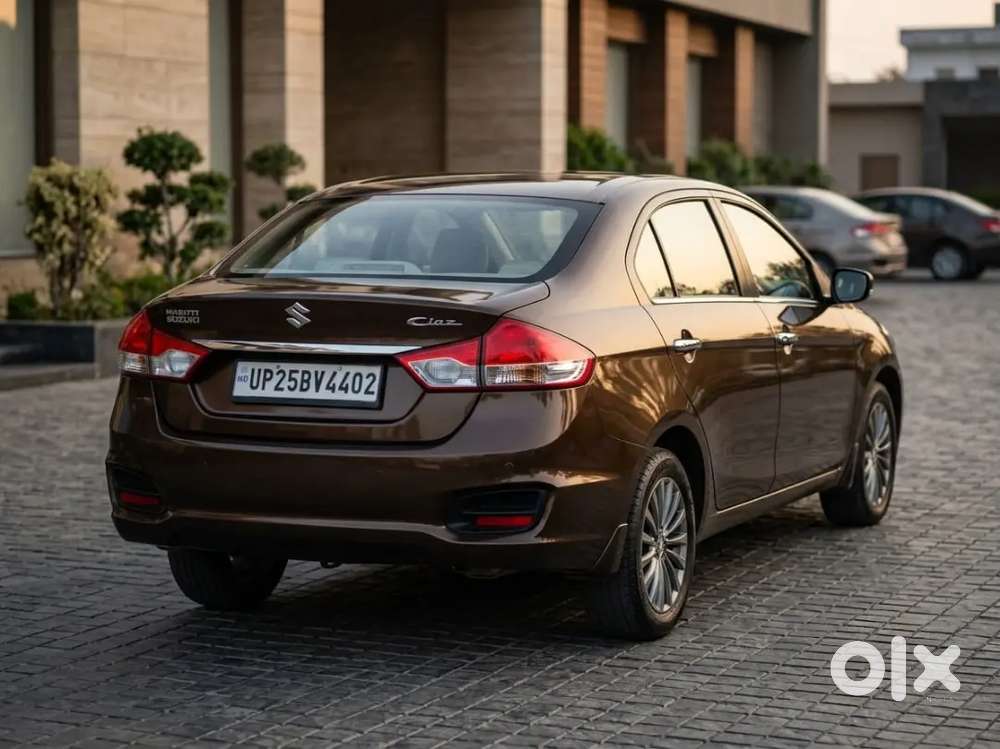 2019 Maruti Suzuki Ciaz 1.5 Diesel