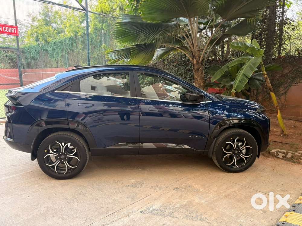 Tata Curvv 2025 Petrol Automatic Top End Well Maintained
