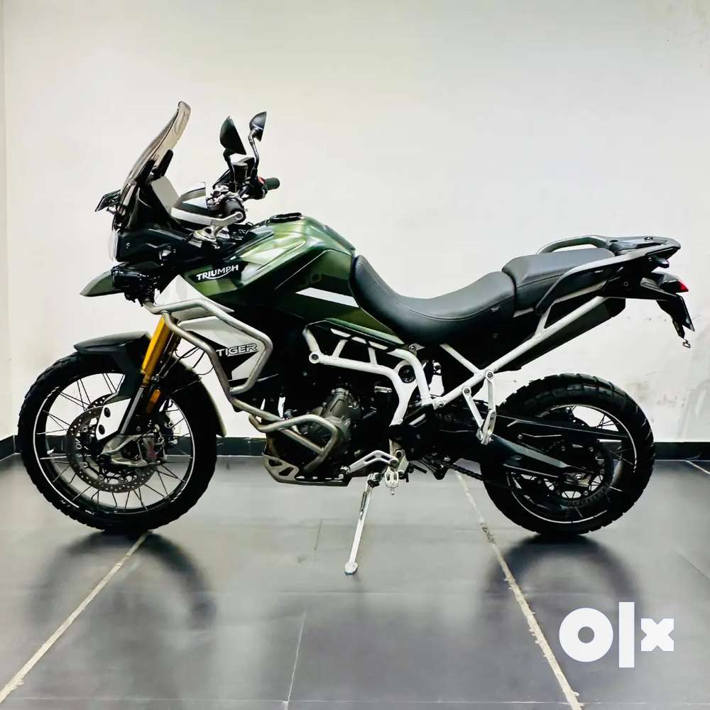 Tiger triumph olx top