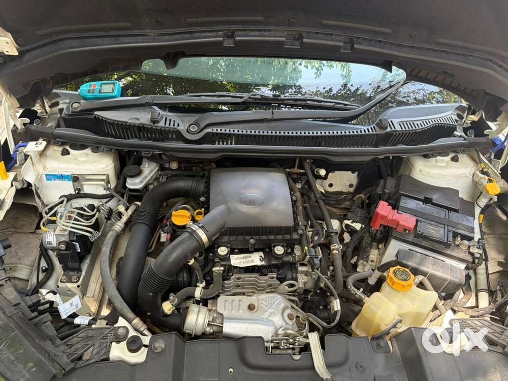 Tata Nexon 2024 Petrol Well Maintained