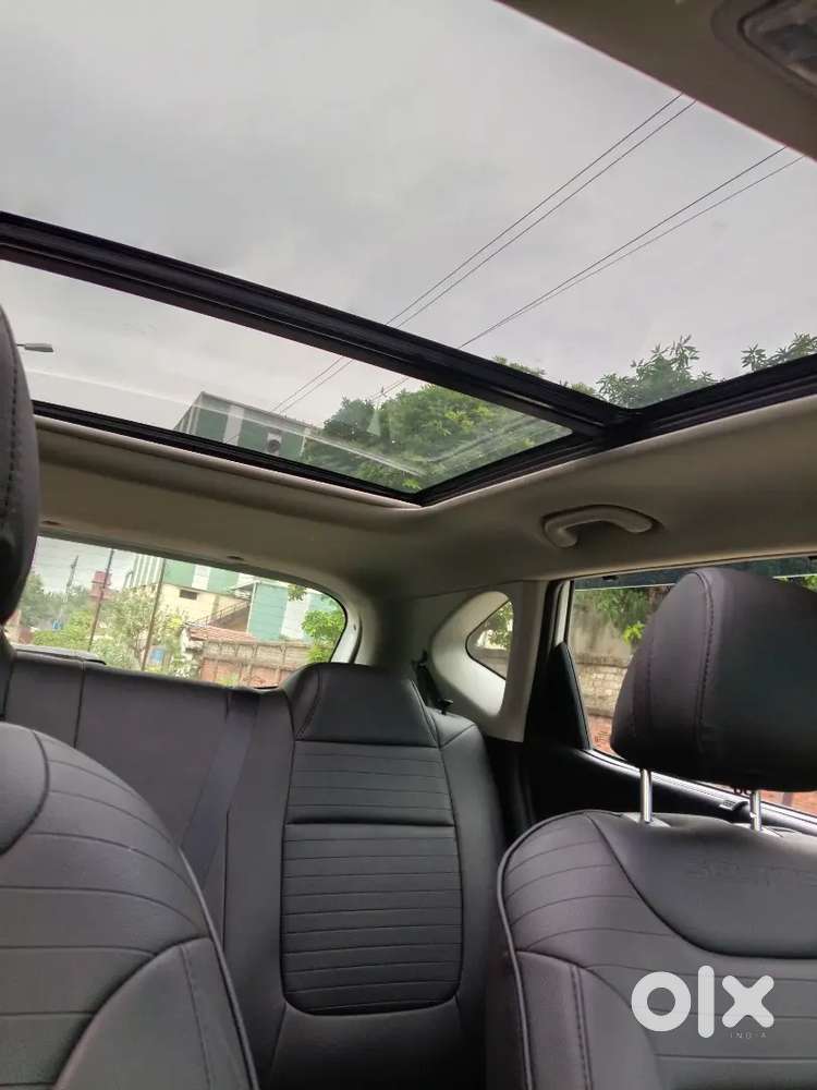 Kia Seltos 2025 Petrol Well Maintained