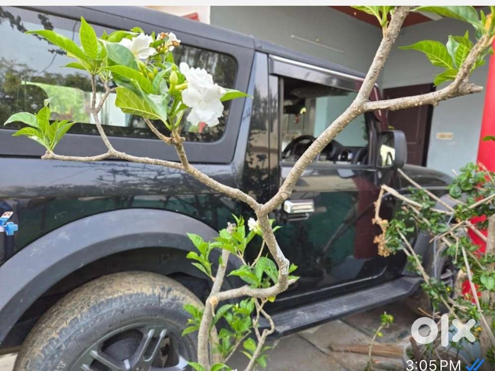 Mahindra Thar Petrol Manual 2022