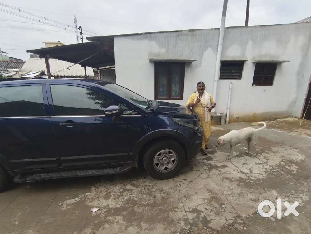 Tata Hexa 2.2 2019