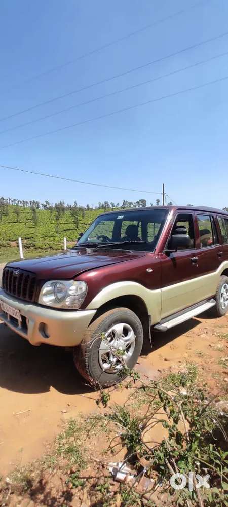 Scorpio Royal Maroon