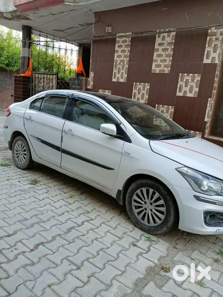 Maruti Suzuki Ciaz Zdi 2015 Diesel