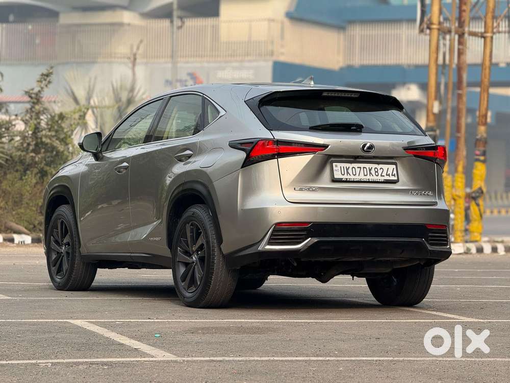Lexus Nx Lexus-nx-300h-luxury, 2019, Petrol