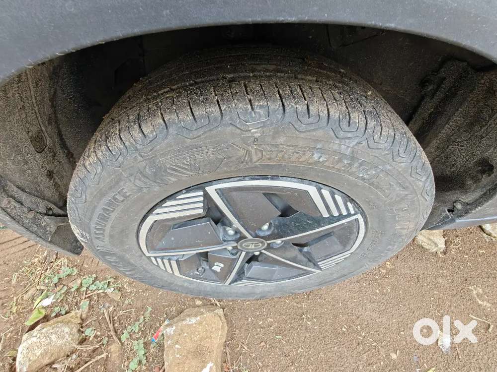 Tata Nexon 2024 Petrol Good Condition
