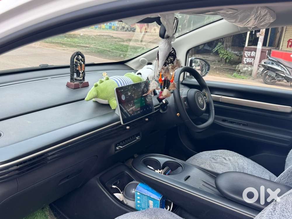 Mg Windsor Ev Single Hand Use