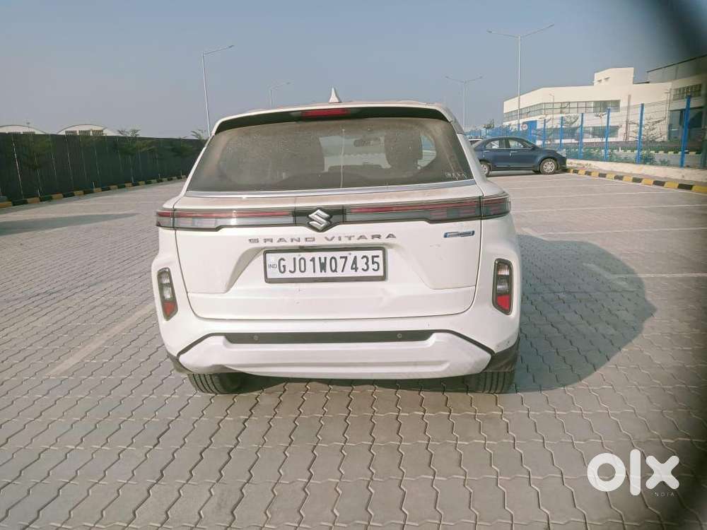 Maruti Suzuki Petrol 2024