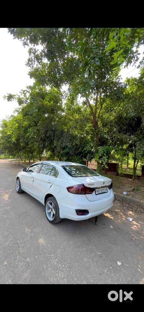 Maruti Suzuki Diesel 2016
