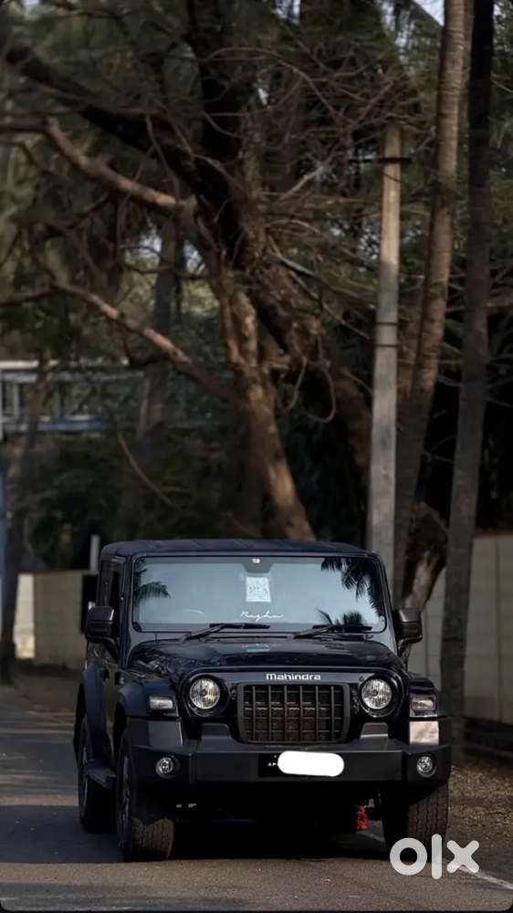 Mahindra Thar 2024 Diesel 30000 Km Driven