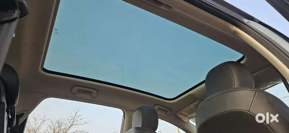 Mg Windsor Ev Essence 2025