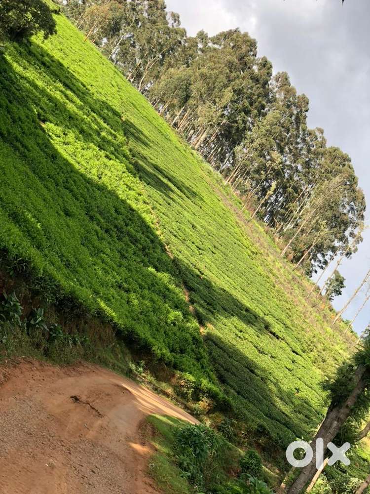 Scenic land for sale in ooty Lands & Plots 1753846784