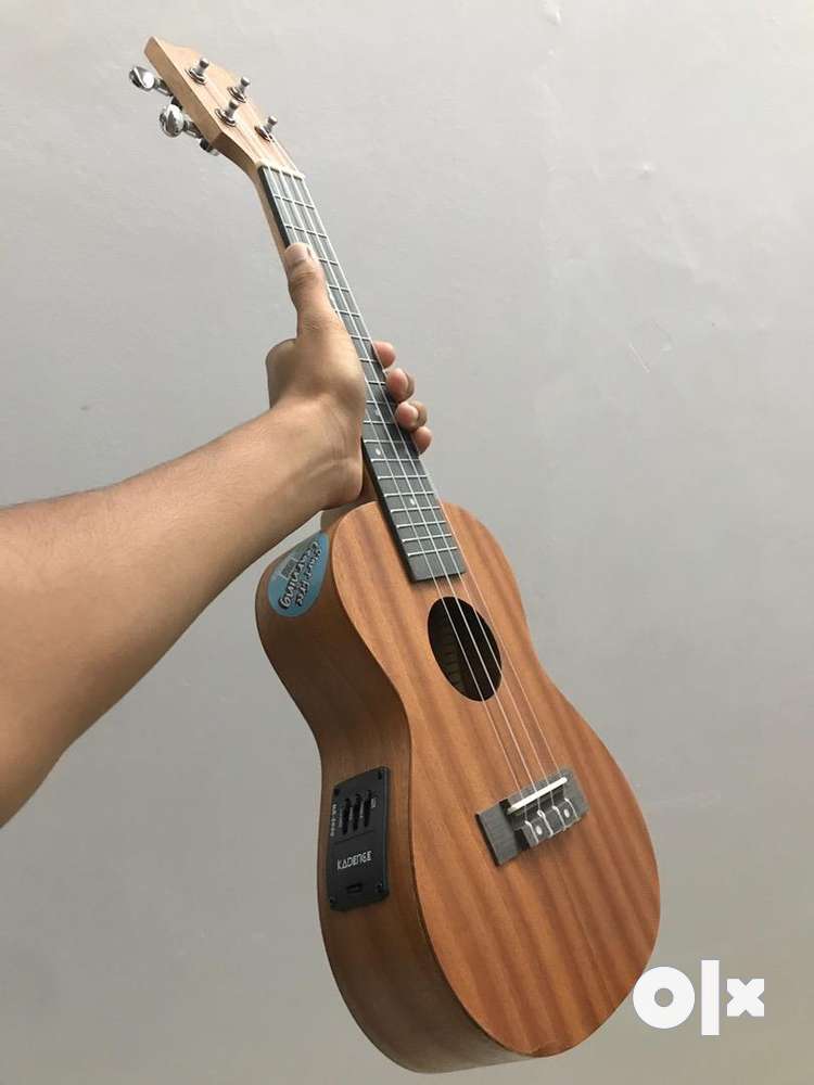 Olx ukulele concert top