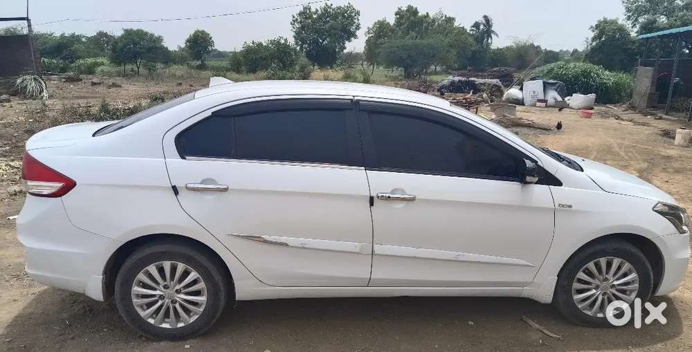 Maruti Suzuki Ciaz 2016 Diesel Good Condition