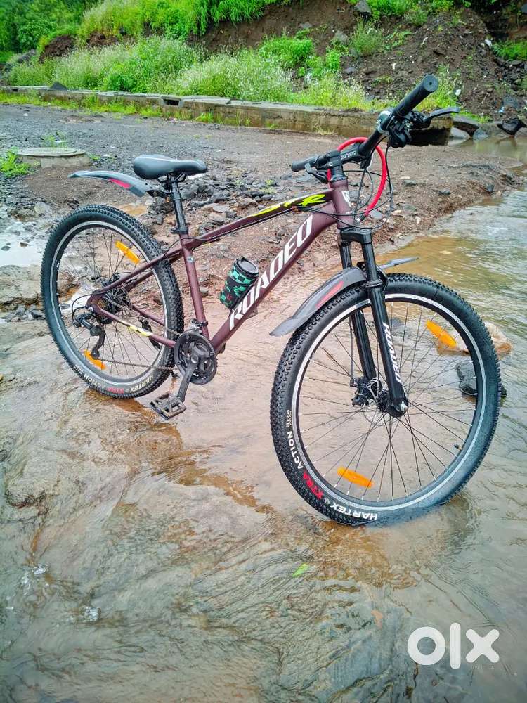 Roadeo (Limited Edition) 21 Gears - Bicycles - 1828865401