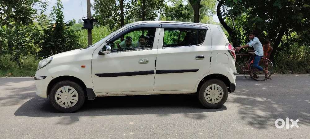 Alto 800 Cng + Petrol