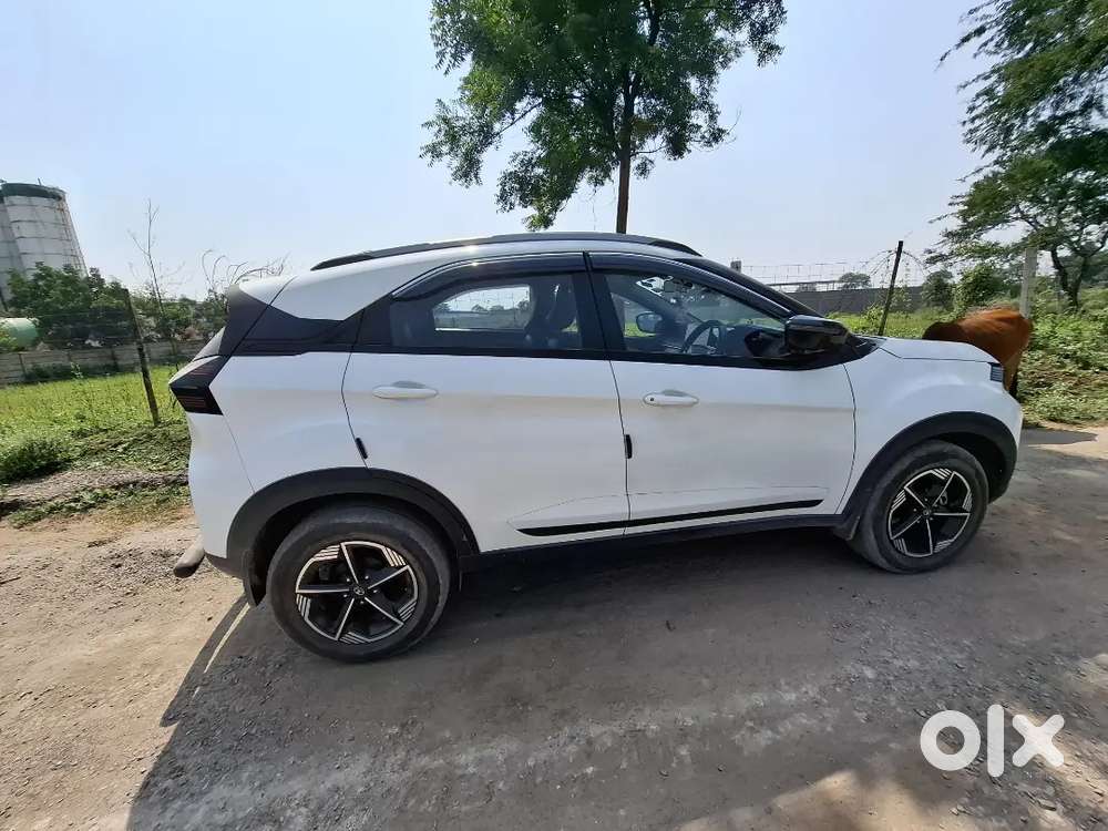 Tata Nexon Creative 2025