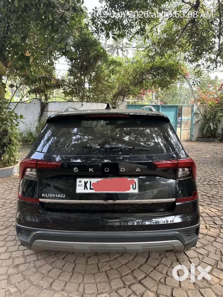 Skoda Kushaq 2024 Petrol Well Maintained
