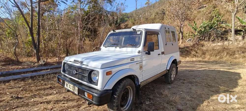 Gypsy King Euro3 2008