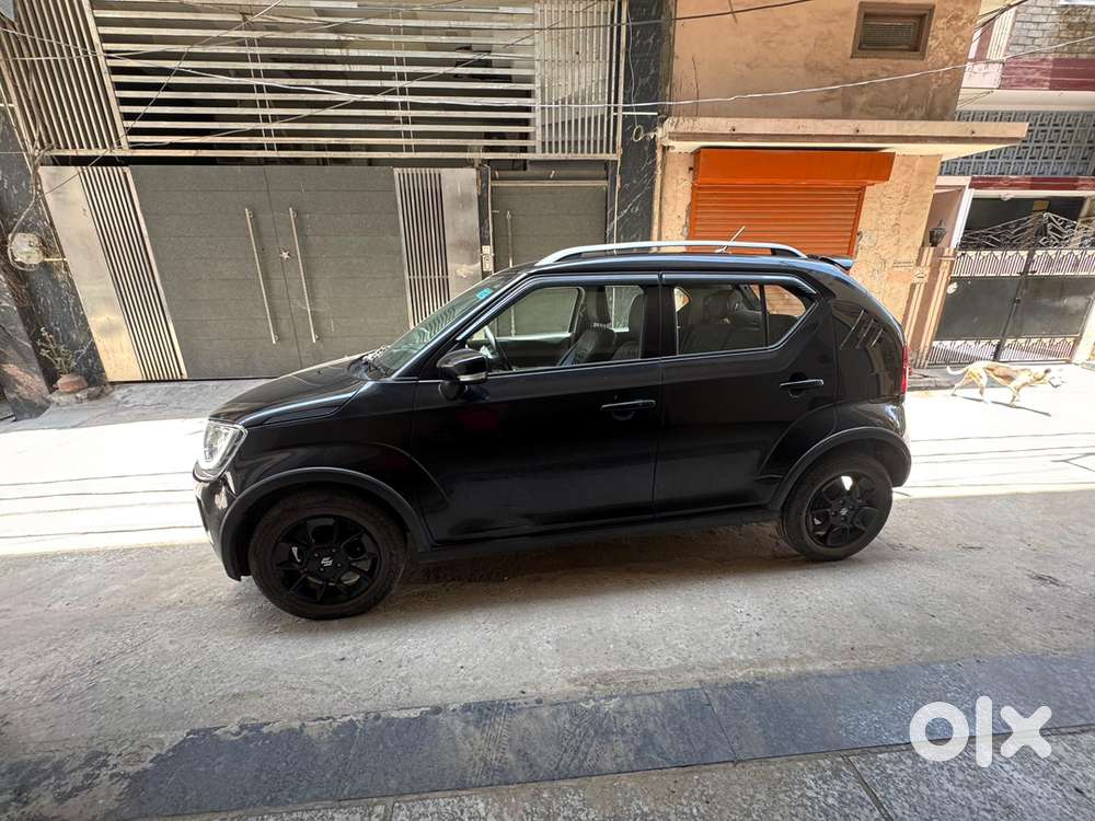 Maruti Suzuki Ignis Petrol 2023